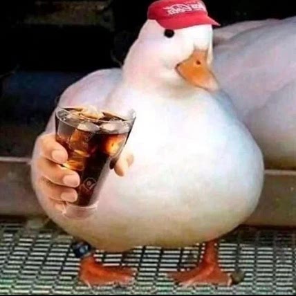 duckie duckers