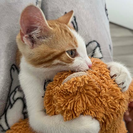 minu💕
