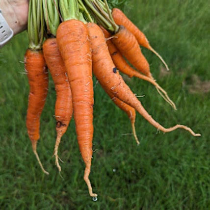Good Choices Farm