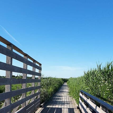 Noëlle Lavazais Septier