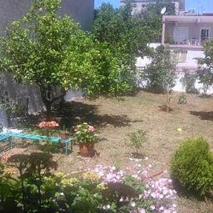 Δημήτρης Μπούσης