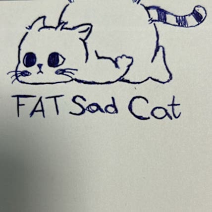 Fat Sad Cat
