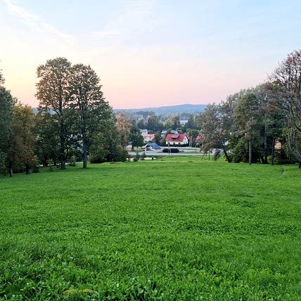 Mārtiņš Šteimanis