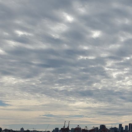 Melissa Grushetski-Ng