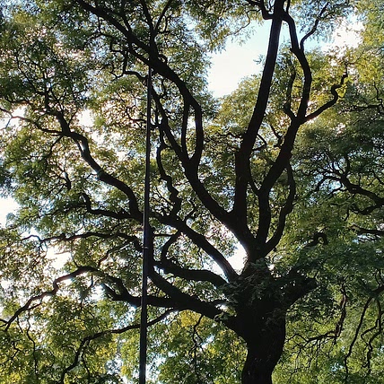 🇦🇷Veganxs CABA/GBA🇦🇷