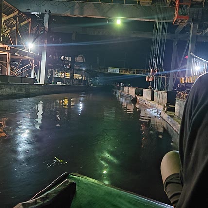 ALFIN_alfin ALFIN_alfin