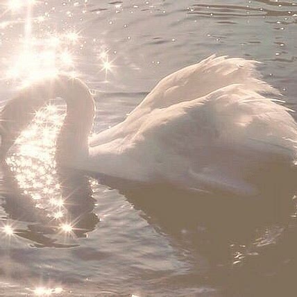 ✿⋆。˚ ☁︎ ˚。⋆。˚☽˚。⋆ ✿
˖𓍯 tasnim ˖𓍯