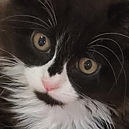 Rhiannon