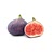 Fresh Figs