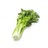 stalk celery
