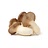 mushrooms