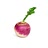 turnip