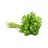 parsley