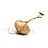 yam bean