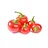 cascabel chiles