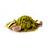 ground pistachios