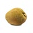 jackfruit
