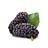 mulberries