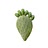 Nopales