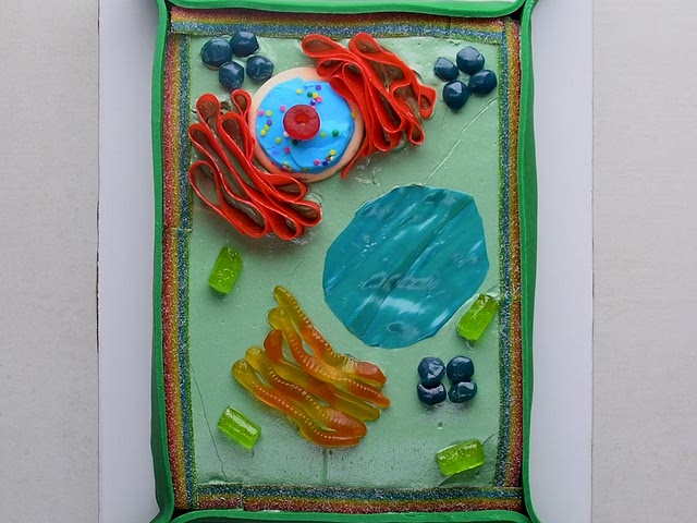 how did you make the cake