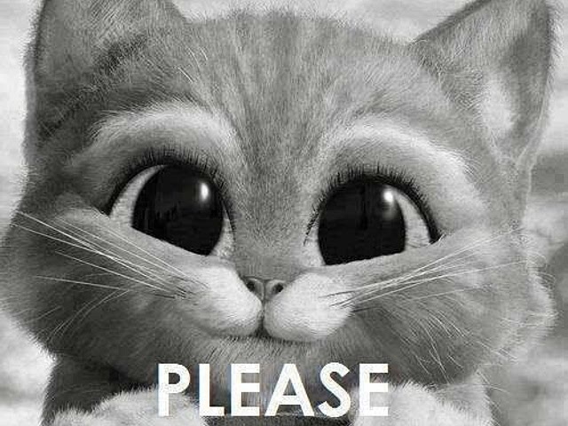Buttercup Hey, Can you share your experience after you make these recipes? 