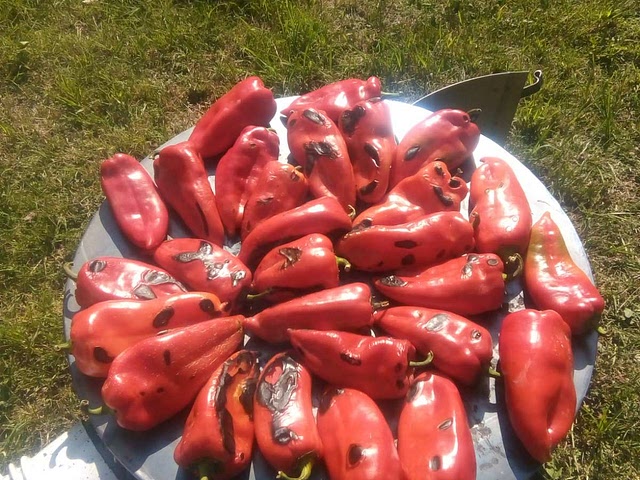 preparing peppers for ajvar 😀