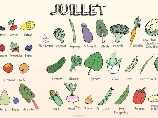 En Juillet qu'est ce que l'on mange pour ce mois chaud d'été ?