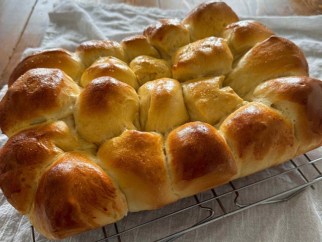 Florida rolls