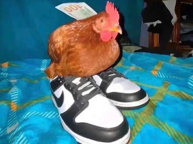 Cornish Hen Substitute 