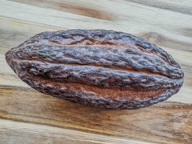Ever had unprocessed chocolate?