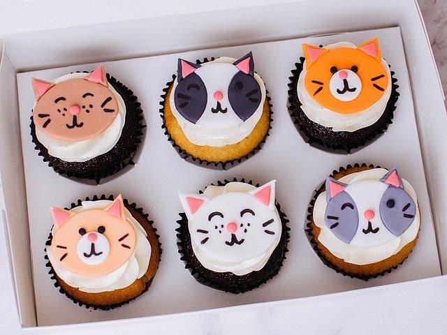 is Anyone cooking something?