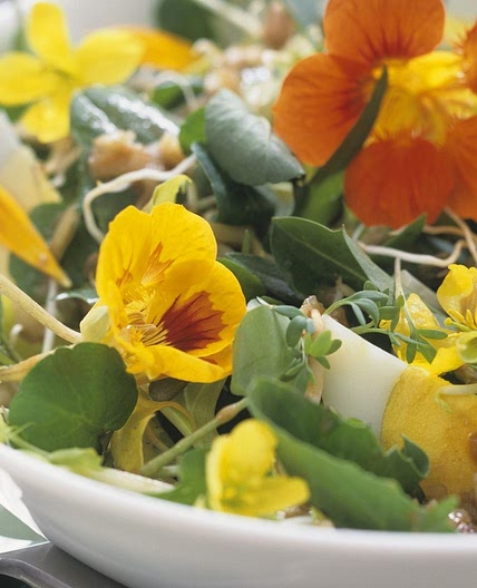 Wild Herb Salad with Edible Flowers and Eggs
