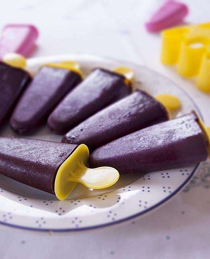 Blueberry Ice Blocks