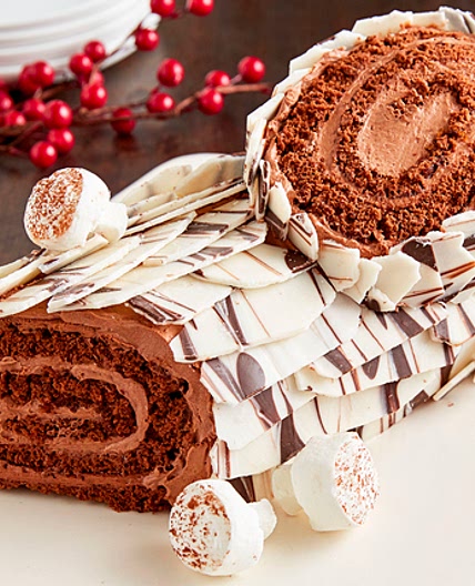 Chocolate Yule Log Cake