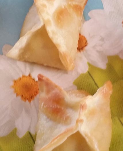 Air Fried Jalapeno Cream Cheese Wontons