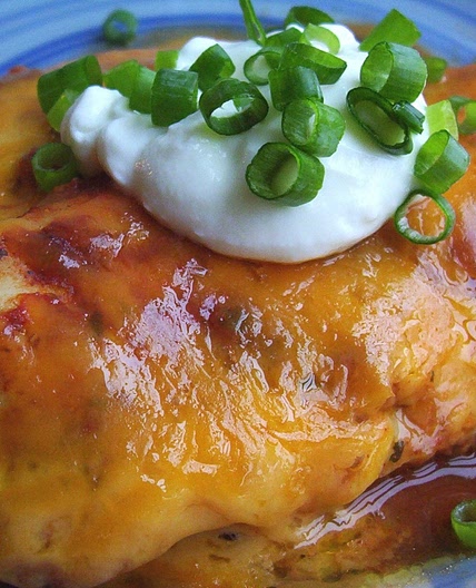 Salsa Chicken