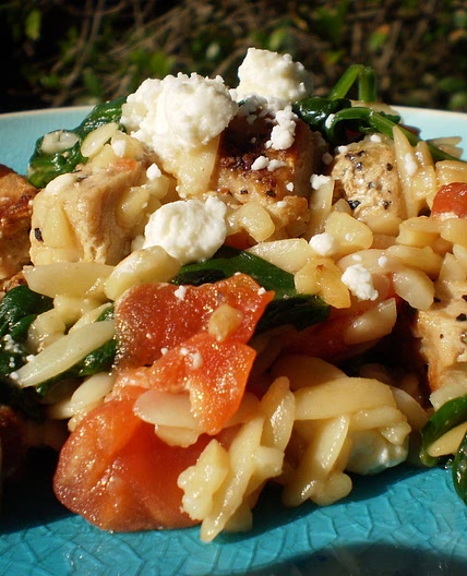Mediterranean Pork and Orzo