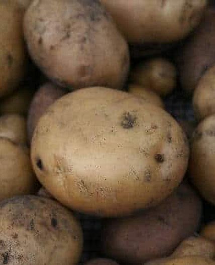 Rosemary Oven-Baked New Potatoes