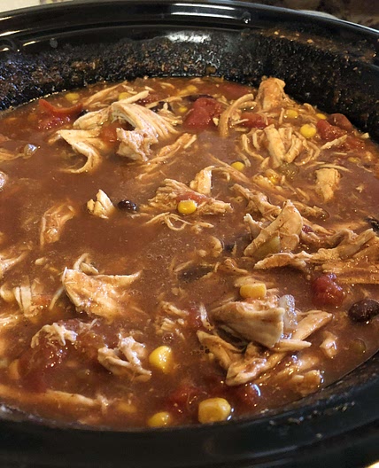 Slow cooker spicy chicken and bean soup