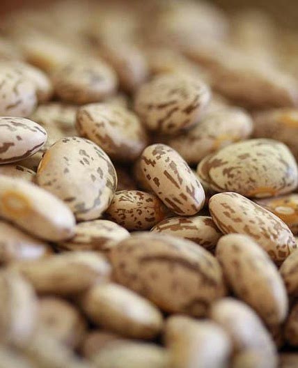 Refried Beans