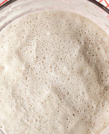 How To Make Your Own Sourdough Starter