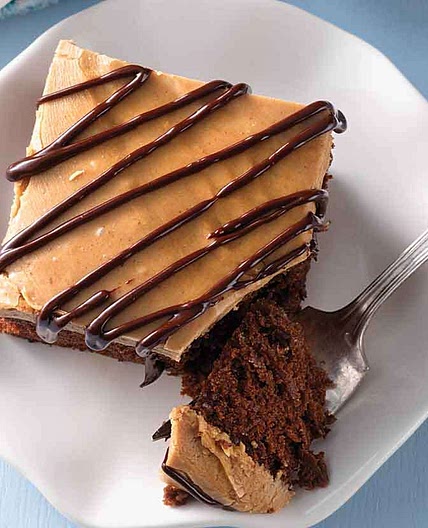 Sourdough Chocolate Cake