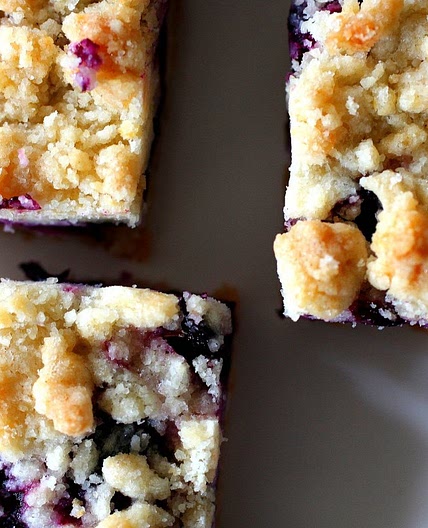 Blueberry Crumb Bars