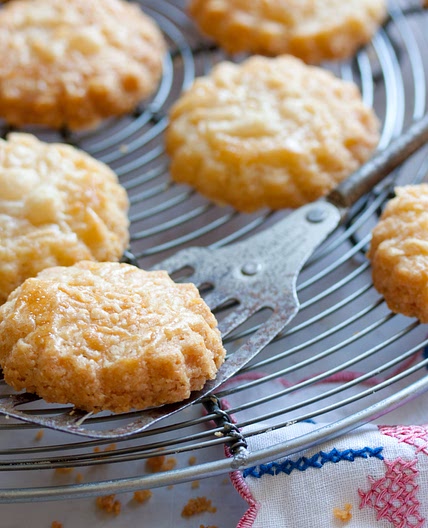 Parmesan biscuits