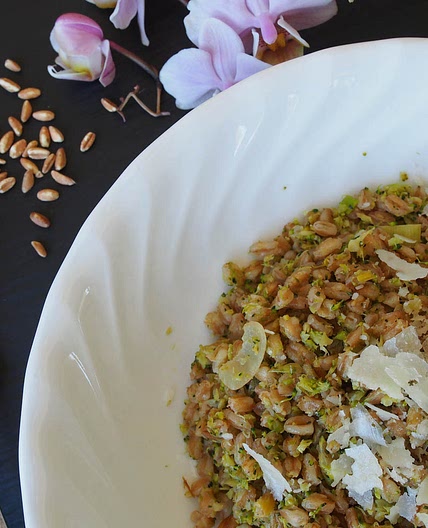 Farrotto with Broccoli and Leek Puree topped with Grano Padano
