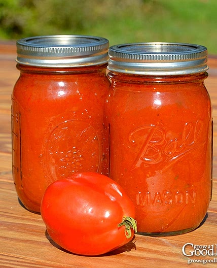 Seasoned Tomato Sauce Recipe
