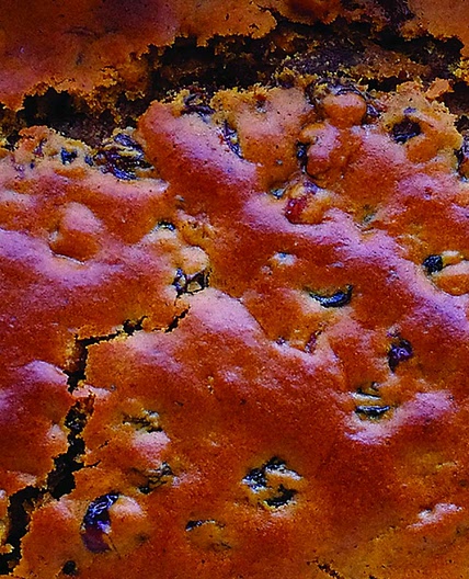 Bara Brith