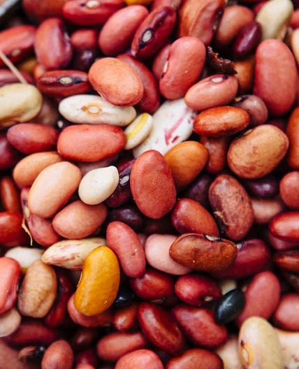 Bean