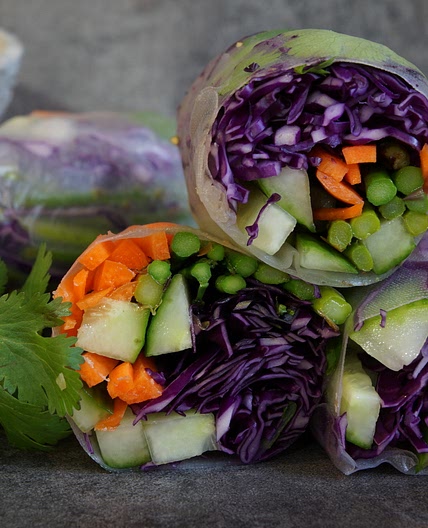 Colorful Veggie Tofu Summer Rolls with Thai Peanut Sauce