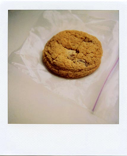 Whole Wheat Chocolate Chip Cookies